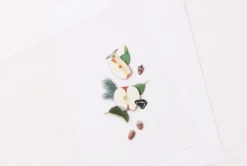 Apple Pressed Fruit Sticker