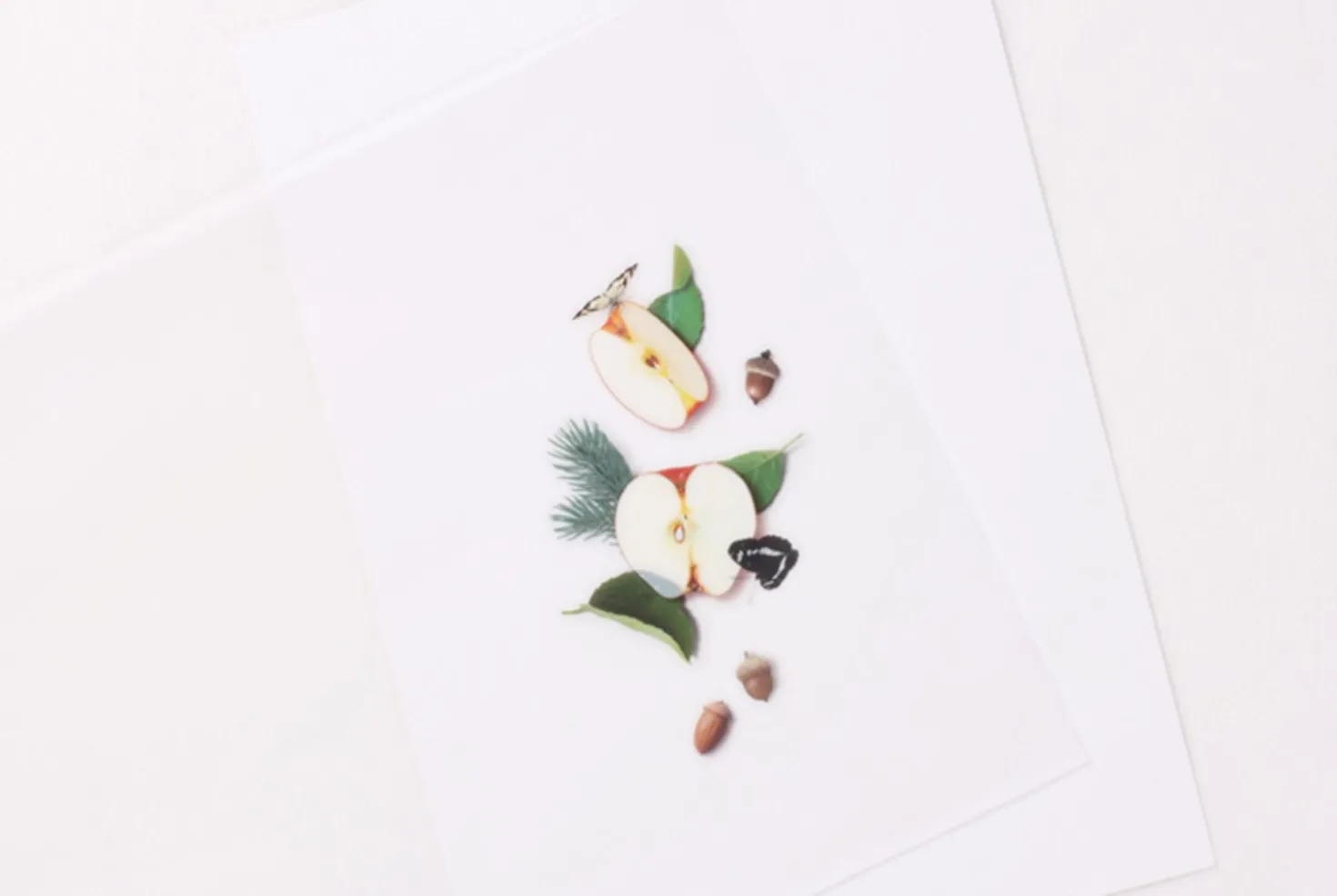 Apple Pressed Fruit Sticker