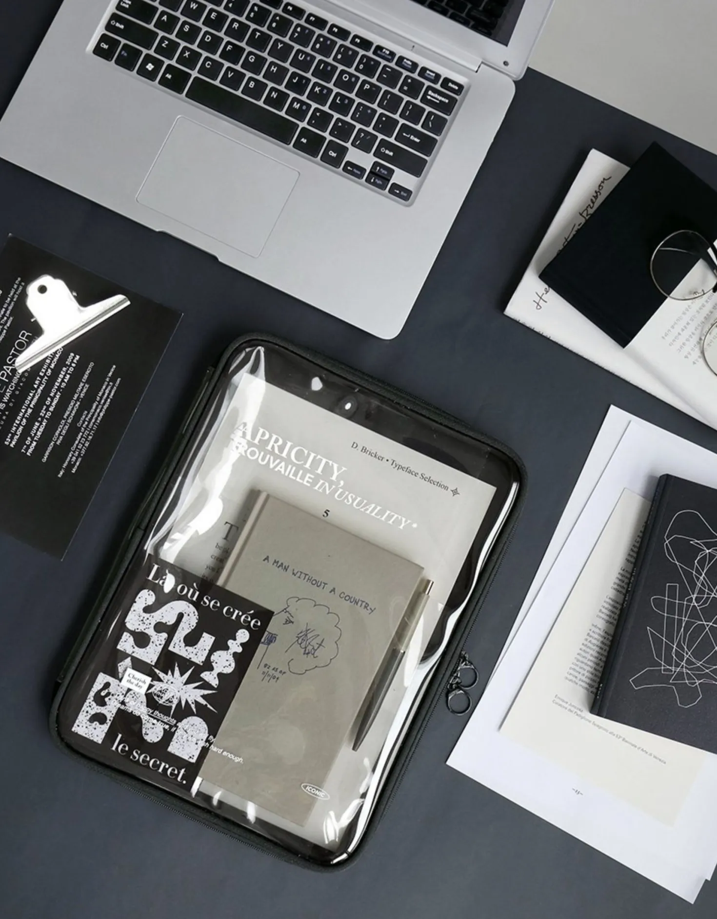 Apricity Lucid iPad Pouch