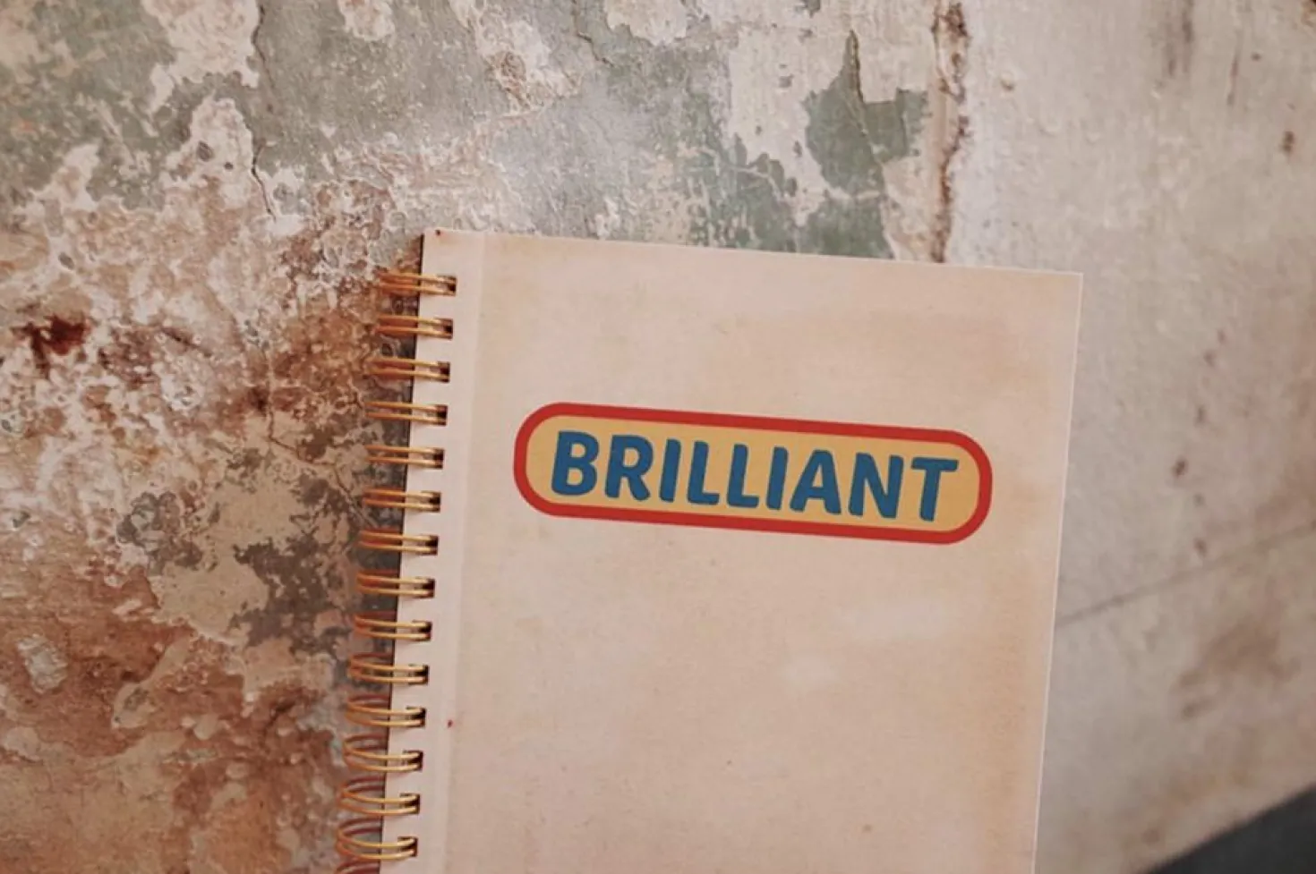 Brilliant Idea Notebook