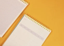 Bunny 100 Days Study Planner