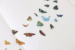 Butterfly Nature Sticker