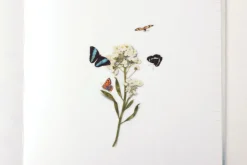Butterfly Nature Sticker