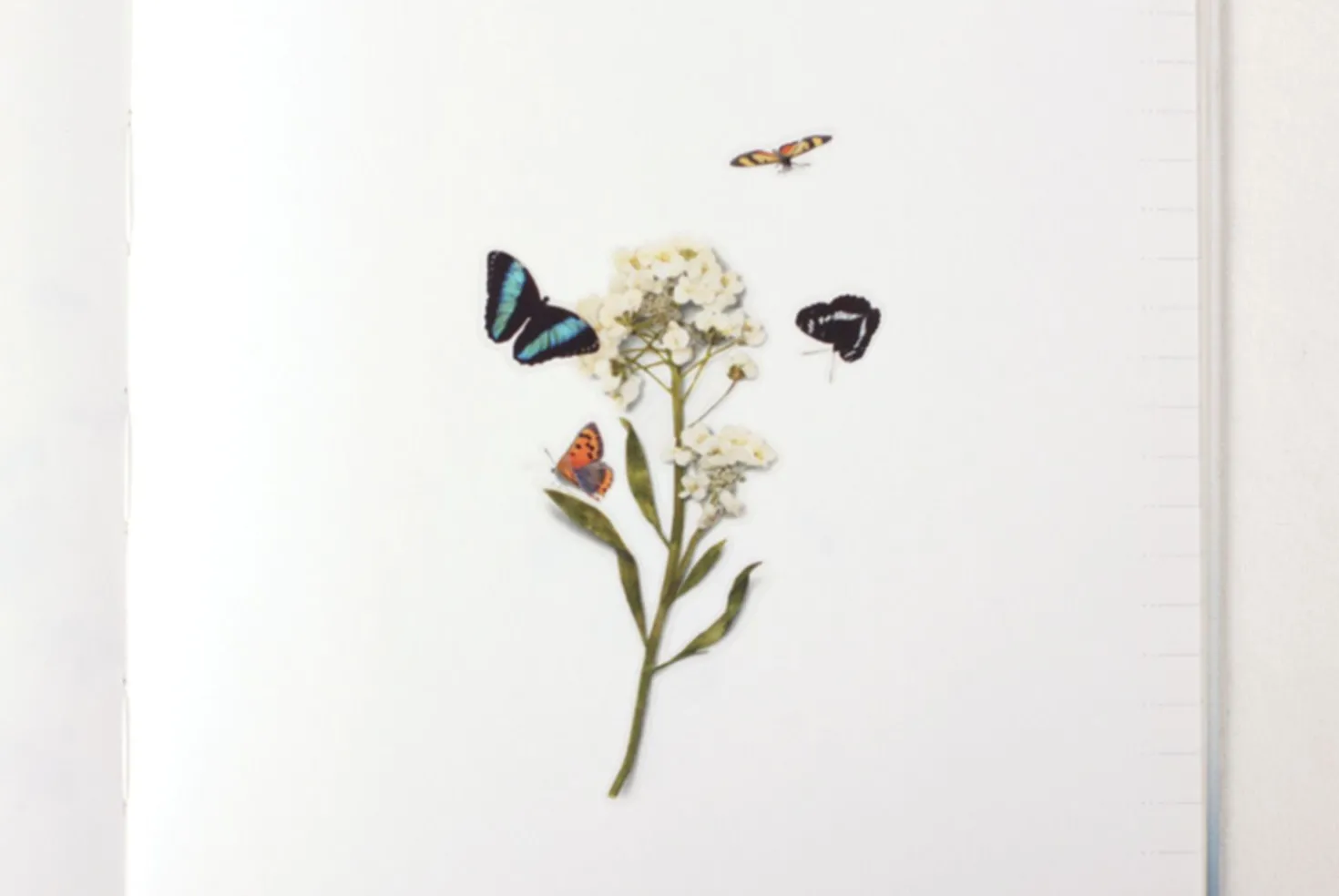 Butterfly Nature Sticker