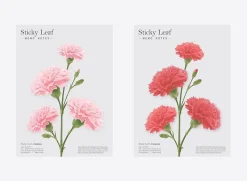Carnation Sticky Note