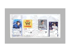 Catch Your Days Ticket Binder