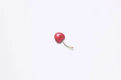 Cherry Pressed Fruit Sticker