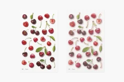 Cherry Pressed Fruit Sticker