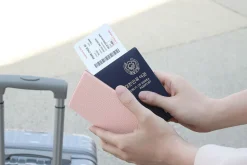 Classic Anti Skimming Passport Case