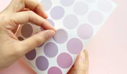 Color Palette Deco Sticker