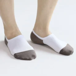 Color Point No Show Women Socks