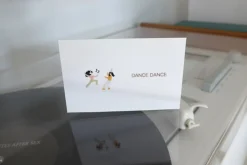 Congratulations Deco Sticker