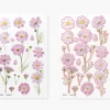 Cosmos Pressed Flower Sticker