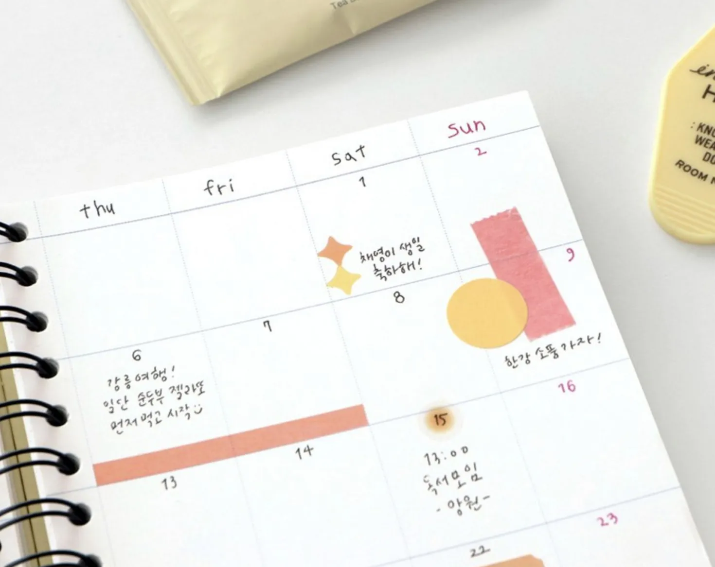 Daily Archive Spiral Notebook