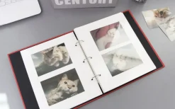 Daily Binder Album