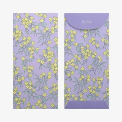 Dailylike Gift Envelope Set