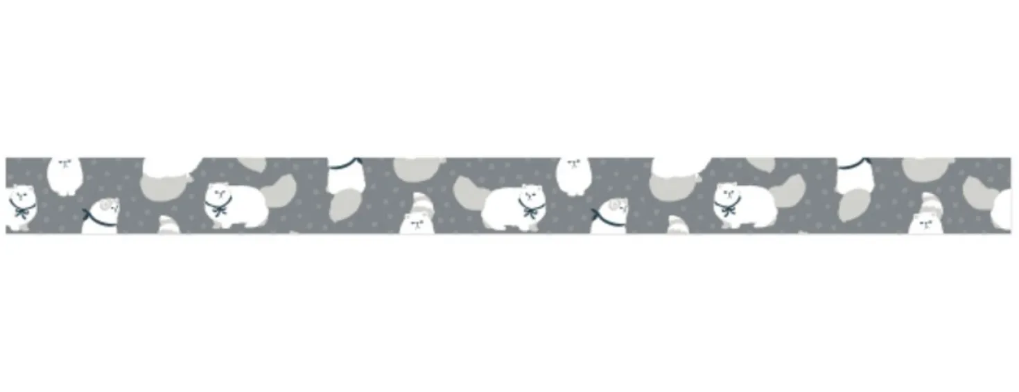 Dailylike Masking Tape v15