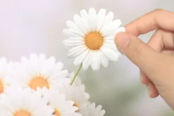 Daisy Sticky Note