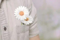 Daisy Sticky Note