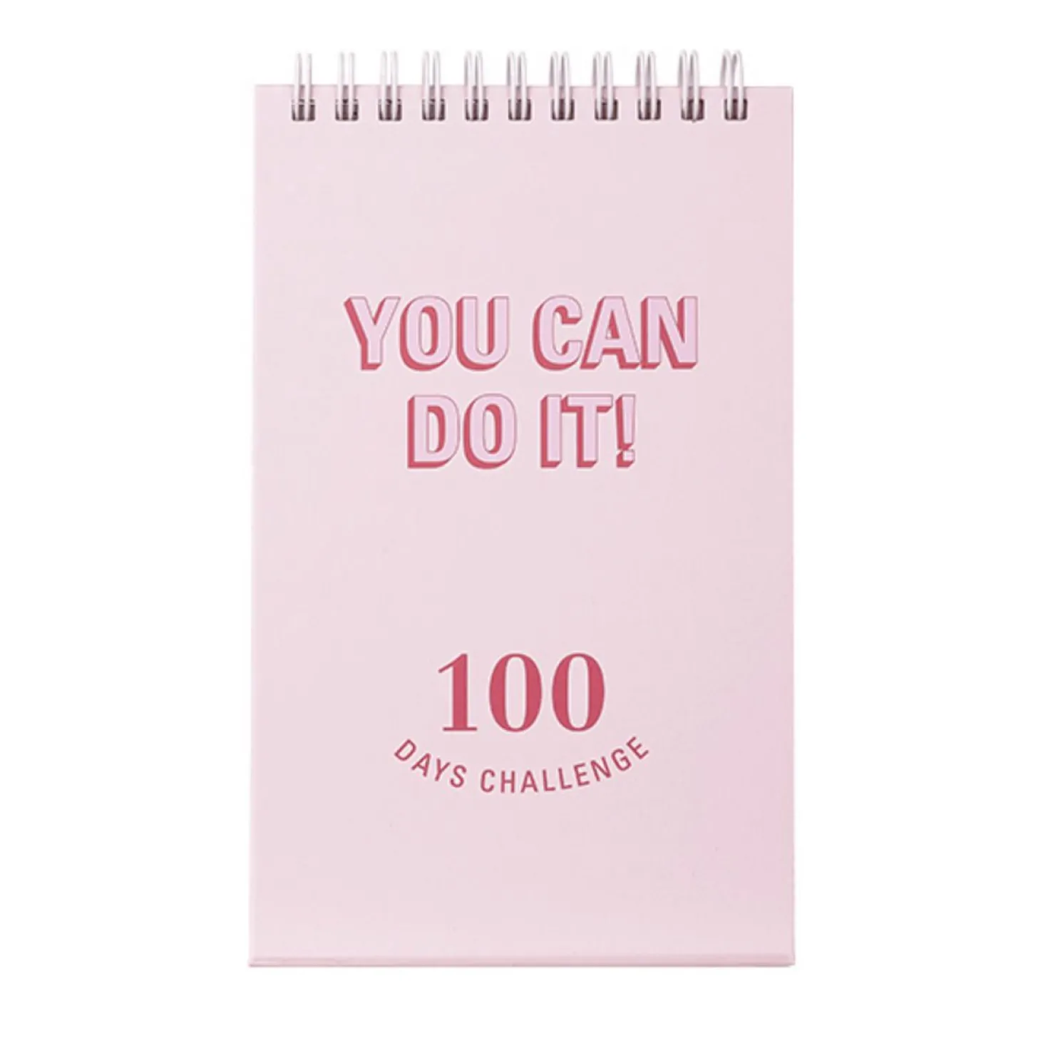 100 Days Challenge Desk Planner