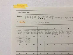 100 Days Goal Planning Sheet