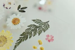 Dear Flower Deco Sticker Set
