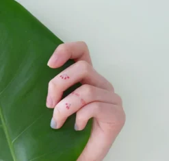 Delight Temporary Tattoo v3