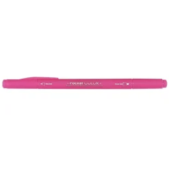 Dual Tip Pocket Color Pen