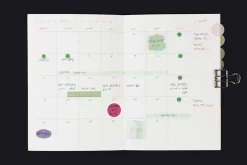 Episode A6 Weekly Journal