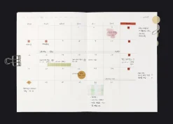 Episode B6 Weekly Journal