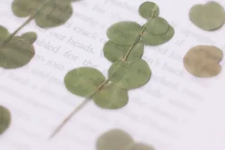Eucalyptus Pressed Flower Sticker