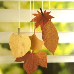 Fall Leaves Wall Deco Set