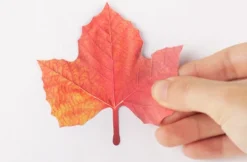 Fall Leaves Wall Deco Set