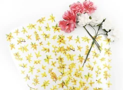 Forsythia Deco Sticker