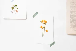 Four-leaf Clover Pressed Flower Sticker