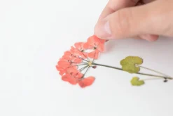 Geranium Pressed Flower Sticker
