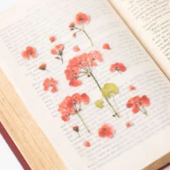 Geranium Pressed Flower Sticker