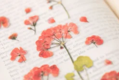 Geranium Pressed Flower Sticker