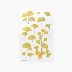 Ginkgo Pressed Flower Sticker