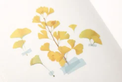 Ginkgo Pressed Flower Sticker
