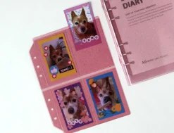 Glitter 6 Ring A6 Wide Card Pocket Refill