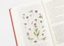 Globe Amaranth Pressed Flower Sticker
