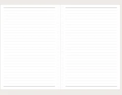 Go Work Diary Journal