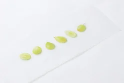 Green Grape Pressed Fruit Sticker