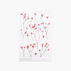 Gypsophila Pressed Flower Sticker