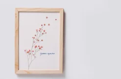 Gypsophila Pressed Flower Sticker