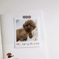 Handwriting #3 Alphabet Deco Sticker