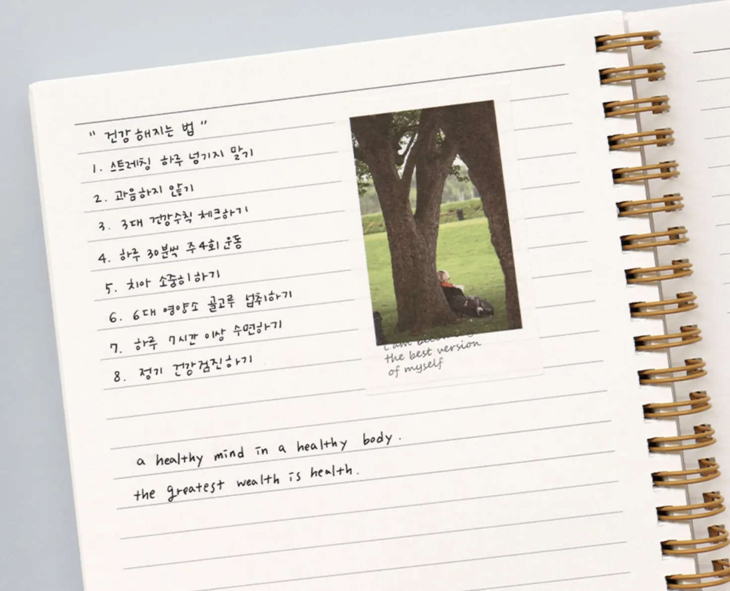 Hello My Health A5 Journal