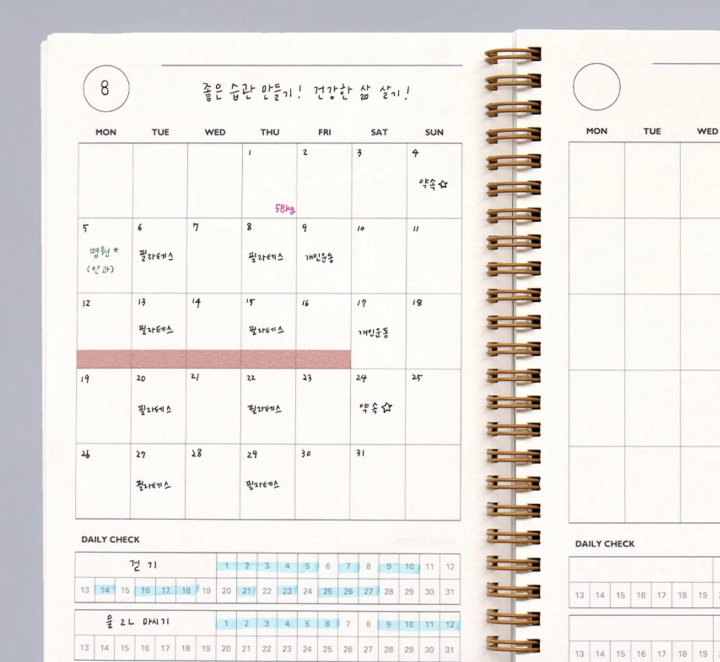 Hello My Health A5 Journal