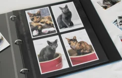 Large Daily Binder Album Refill